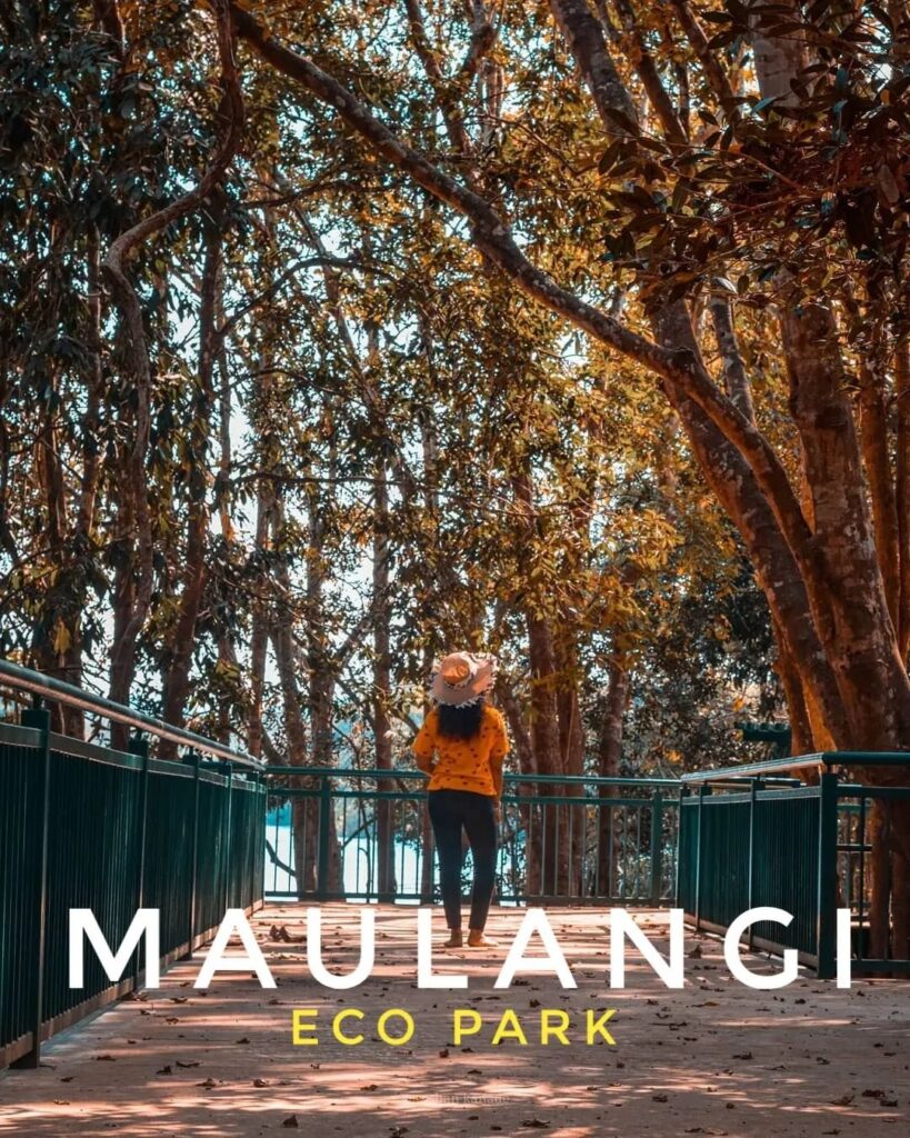 Snapinsta.app 313107130 807936560323091 3173131266525937060 N 1080 819x1024